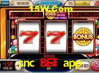 Experiência VIP cnc bet app